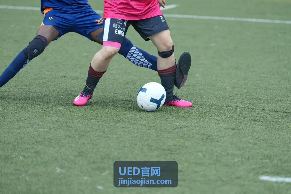 UED官网 金融科技设计系统案例